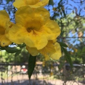 Meet your Posher, Marcy